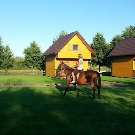 Blockhuette Mit Grill Und Garten In Glenwko